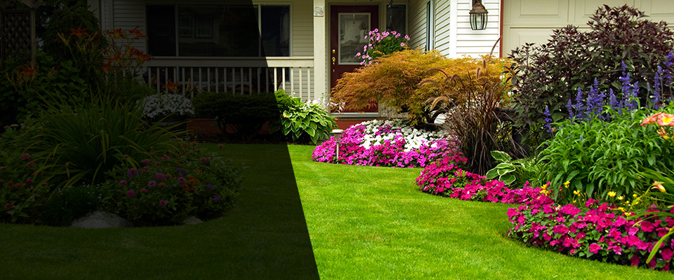Ely Landscapers