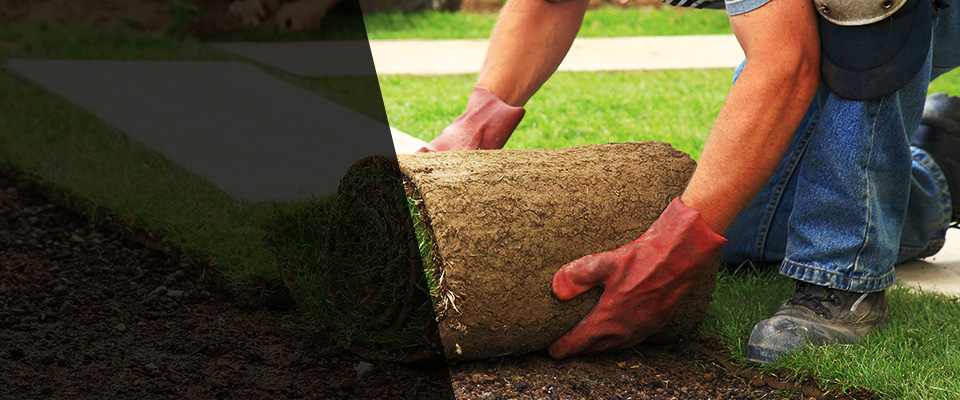 Ely Landscapers